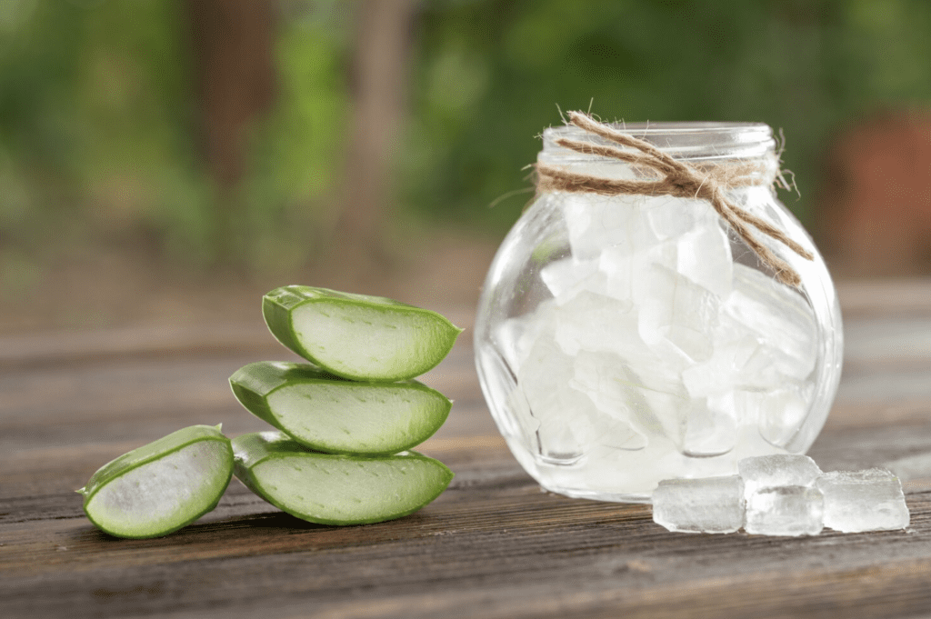 Aloe vera : 10 Amazing Health Benefits